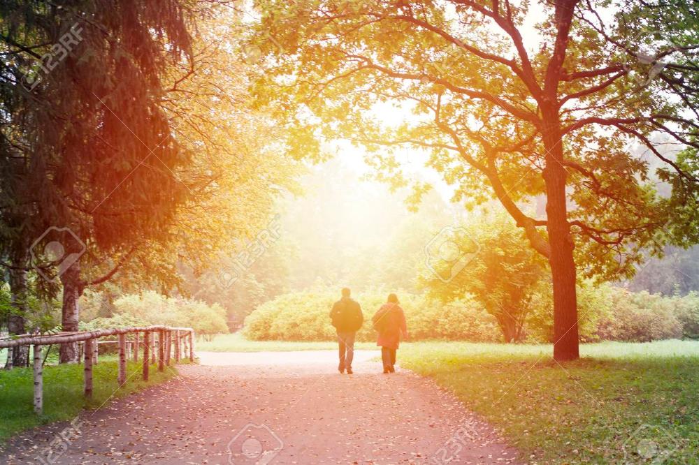S.A.D. - Managing and Reducing Seasonal Depression Symptoms