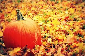 October at Green Mountain Hypnosis